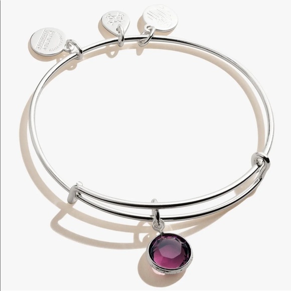 Alex and Ani Amethyst Silver Tone Bracelet - Picture 1 of 5